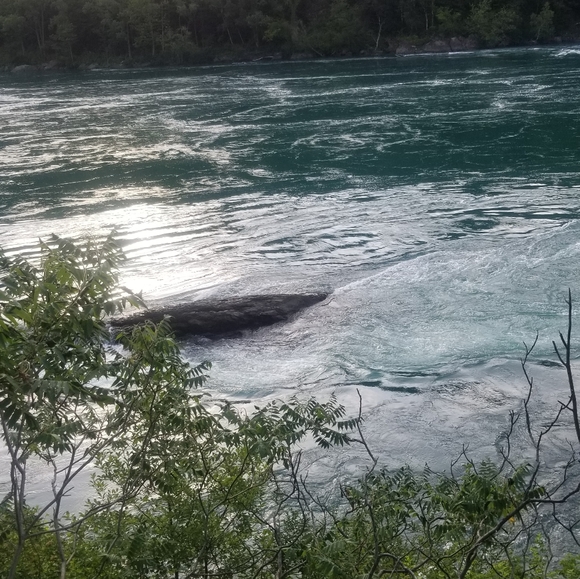 Meet your Posher, Tiffany - Picture 3 of 4